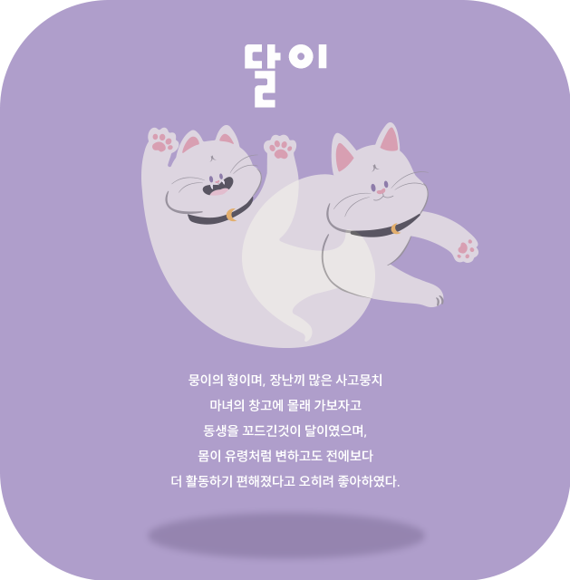 달이 팝업